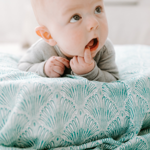 aden + anais Select Baby Blankets Labor Day Sale