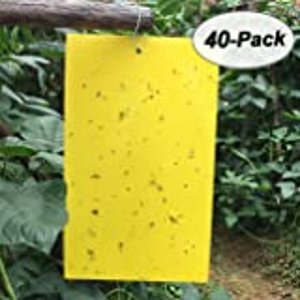  Kensizer 30-Pack Dual-Sided Yellow Sticky Gnat Traps 