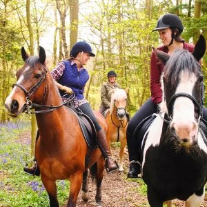 50-Minute Horseback Ride for Two Westside Riding School