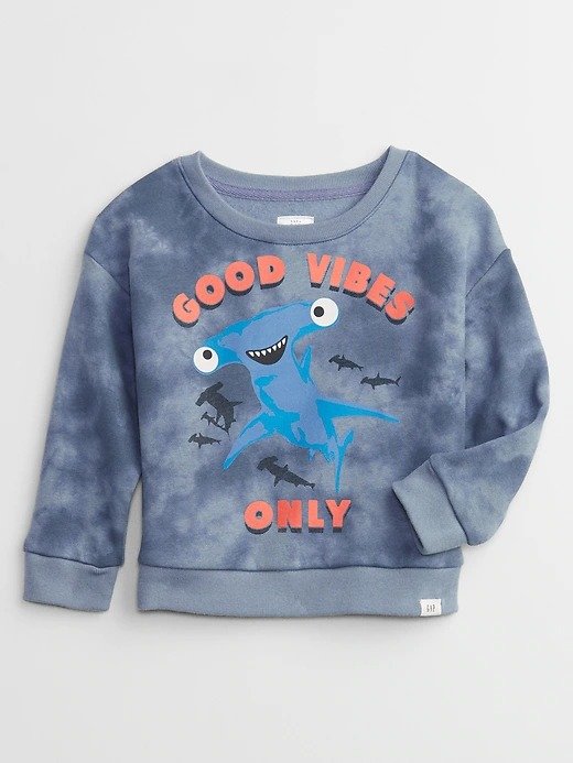 Toddler Graphic Crewneck Sweatshirt