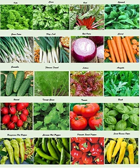 Set of 20 Assorted Organic Vegetable Seeds & Herb Seeds 20 Varieties Create a Deluxe Garden All Seeds are Heirloom, 100% Non-GMO Lettuce Seeds, Sweet & Hot Pepper Seeds, Green Onion Seeds