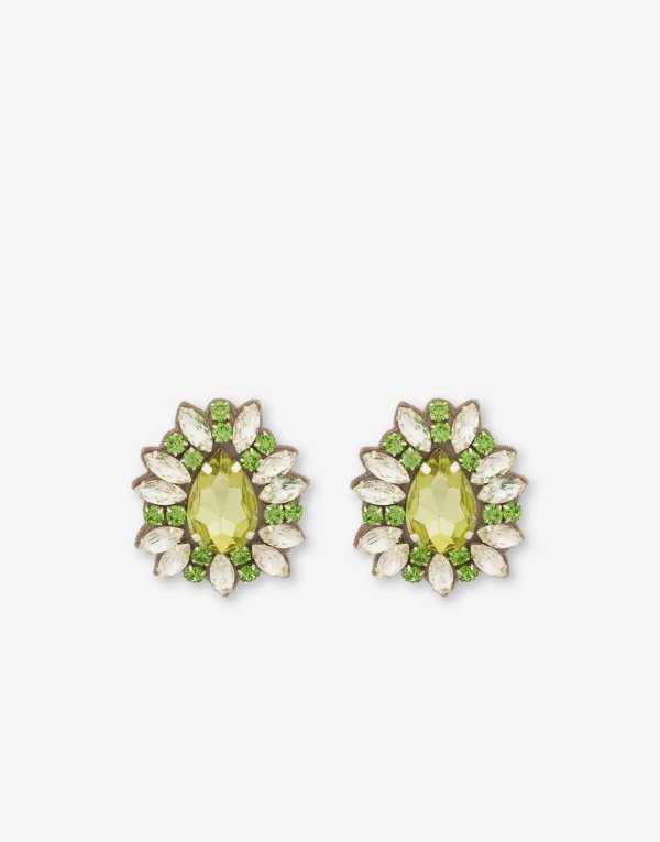 Jewels earrings