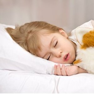 kinder Fluff Toddler/Travel Pillow -No extra Pillowcase/Sham needed-Luxurious 300T Soft Cotton