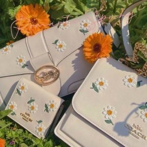 New Arrivals: COACH Outlet Daisy Print Collection Sale