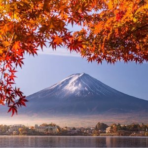 Self-Guided Japanese in 12 Days, 10 Nights