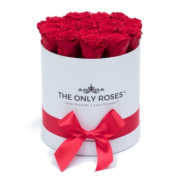 Red Preserved Roses | Small Round White Huggy Rose Box