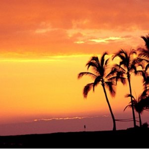 夏威夷欧湖岛5日游 珍珠港+小环岛风光+玻里尼西亚民俗风情