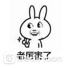 images (1).jpeg
