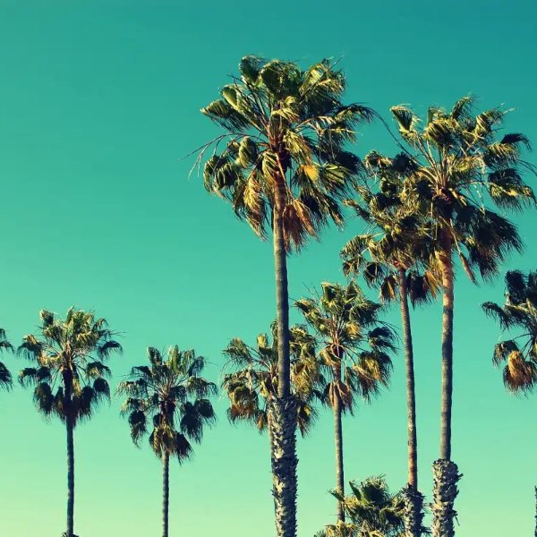 Boardwalks & Beaches: L.A.'s Marina Del Rey
