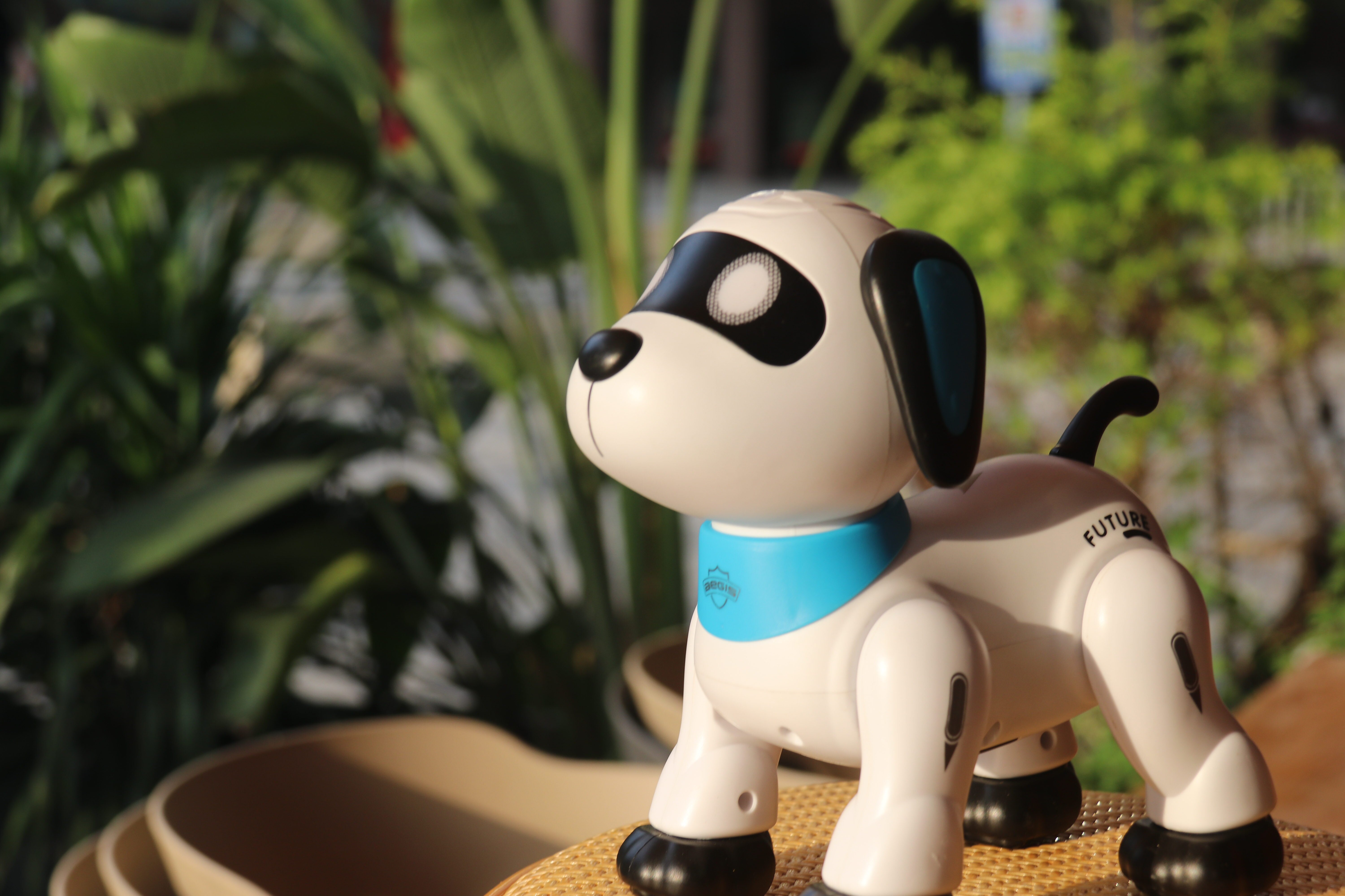 Amazon.com: Remote Control Robot Dog Toy，跳舞机器狗