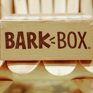 BarkBox小汪汪的订阅礼盒 || 要我的毛娃儿更快乐