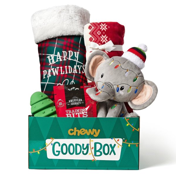 GOODY BOX Holiday Puppy Toys, Treats & Accessories - Chewy.com