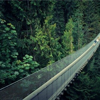 温哥华一日深度纯玩团：卡皮拉诺吊桥穿越雨林探险+步道悬崖、史丹利图腾、罗伯逊街、煤气镇、唐人街