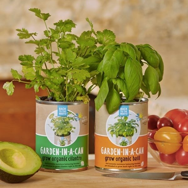 Garden-in-a-Can Set (4-pack) from Apollo Box