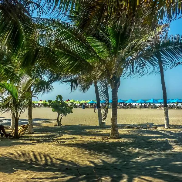 Explore Cartagena & Manzanillo Beach