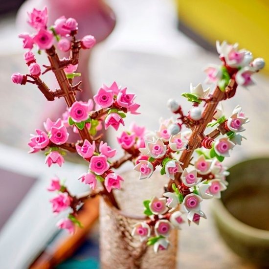 - Cherry Blossoms Celebration Gift, White and Pink Cherry Blossom 40725