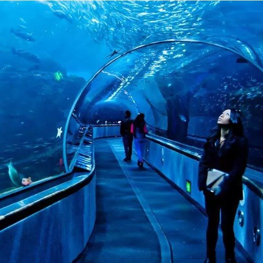 Aquarium of the Bay - Any Available Date Through December 31, 2022