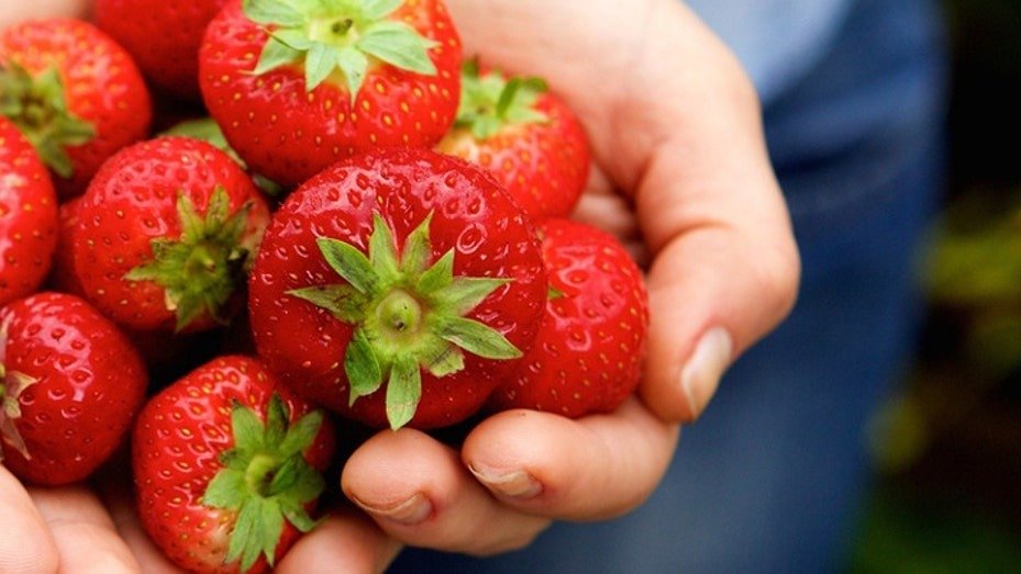 更新！FDA：美国多地爆发甲肝，或与有机草莓有关，已报告17宗感染病例 | Walmart/HEB/Kroger/Trader Joe's等多家超市中招