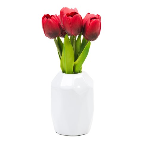 FOREO11.5in 创意家居