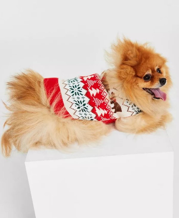 Holiday Lane Dog Santa Bear Sweater, Created for Macy's