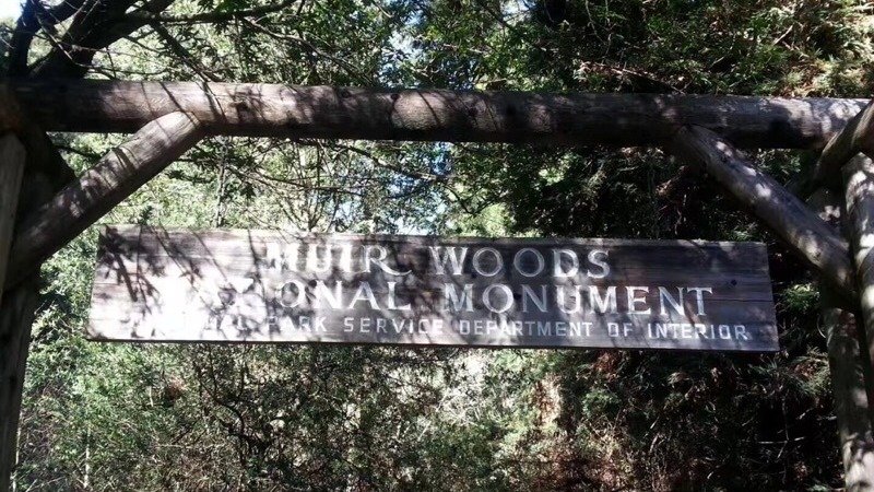 Muir Woods | 一起去看看加州的红杉木