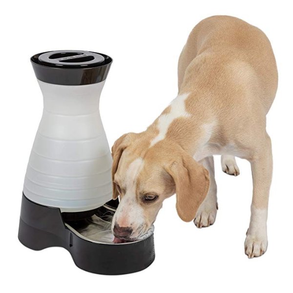 Healthy Pet Water Station Dog and Cat Water System with Stainless Steel Bowl