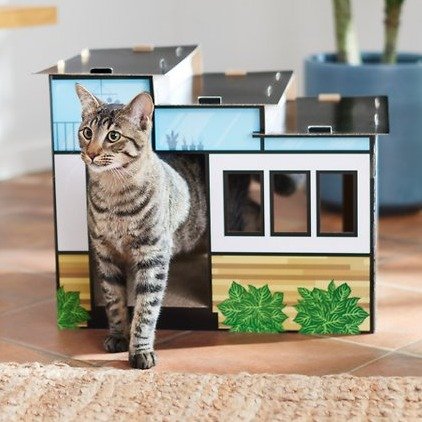 FRISCO Modern House Cardboard Cat House - Chewy.com