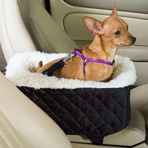 Snoozer Black Pet Car Seat Console Lookout, Small | Petco