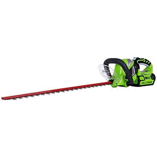 24-Inch 40V Cordless Hedge Trimmer, 2.0 AH Battery Included 22262
