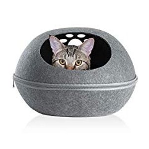 Prime Members save  on Select Pet Items