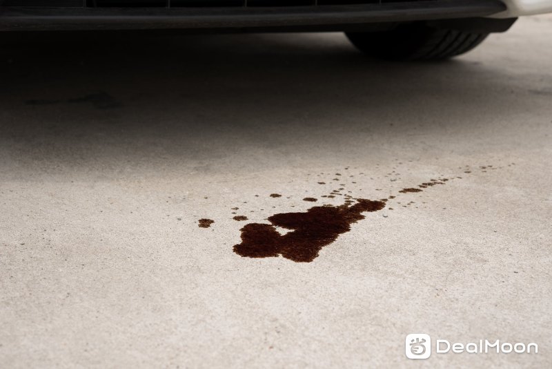 signs_of_an_oil_leak.jpg
