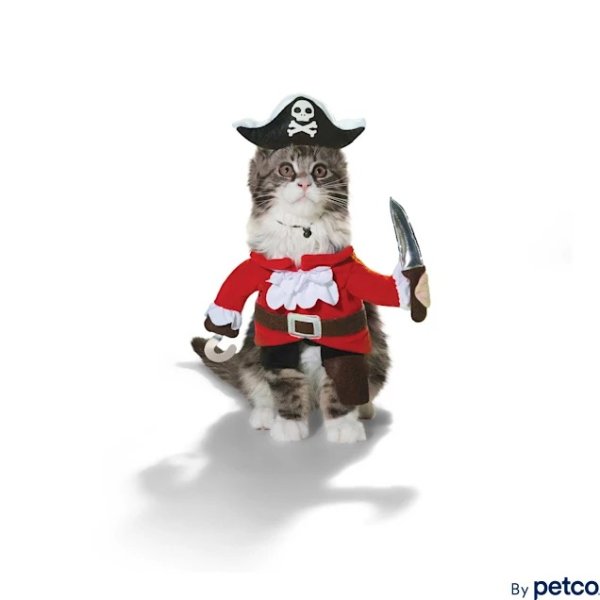 Pirate Costume for Cats, X-Small | Petco