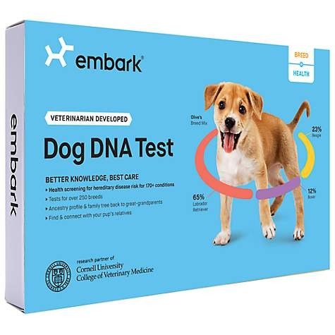 Vet Breed & Health Dog DNA Test | Petco