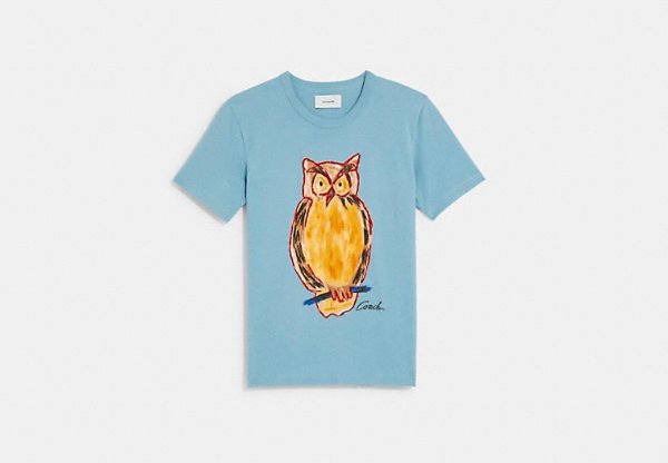 Painted Owl T Shirt In Organic Cotton
