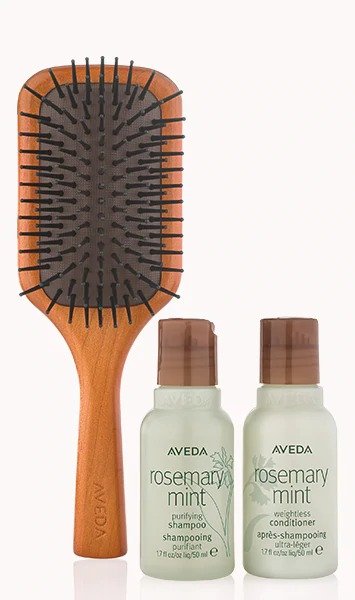 travel size rosemary mint and brush set | Aveda