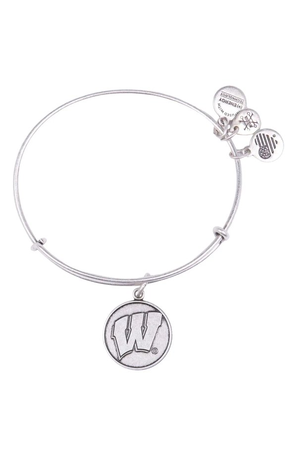 University of Wisconsin® Charm Bangle Bracelet