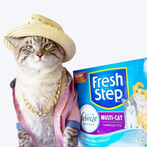 FreshStep 多款猫砂促销，结团锁水清理容易