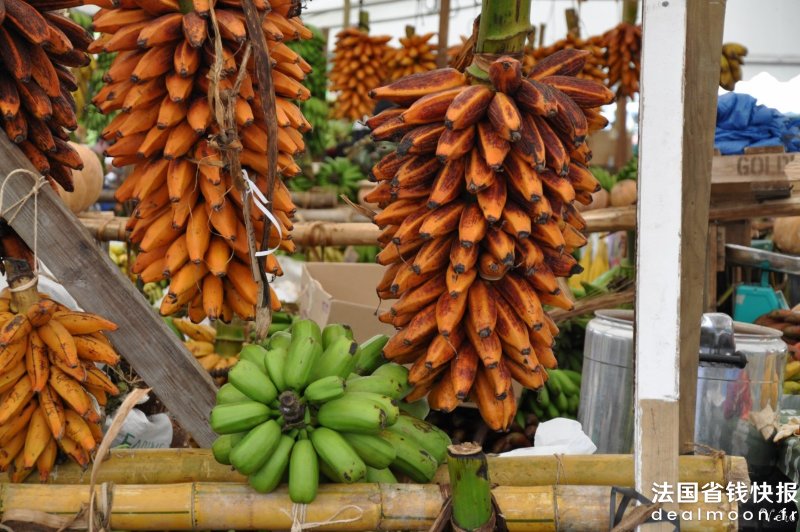 Féi_Tahiti