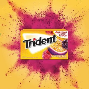 Trident 果味木糖醇口香糖 12包 每包14条