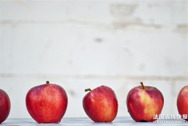 isabella-and-zsa-fischer-uSPjZzYwXO4-unsplash