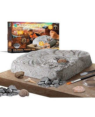 恐龙化石玩具