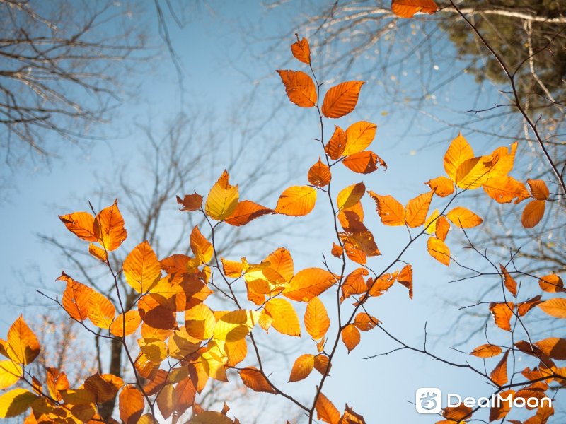 _1170746_meitu_2.jpg