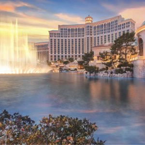 Vegas 3 Nights From $420Top Selling City Excursions