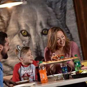 Single-Day Passes for 1, 2 or 4 with 1 Pizza, 2L Soda and More at Great Wolf Lodge Grapevine