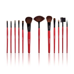 SHANY Professional 12 - Piece Natural Goat and Badger Cosmetic Brush Set with Pouch