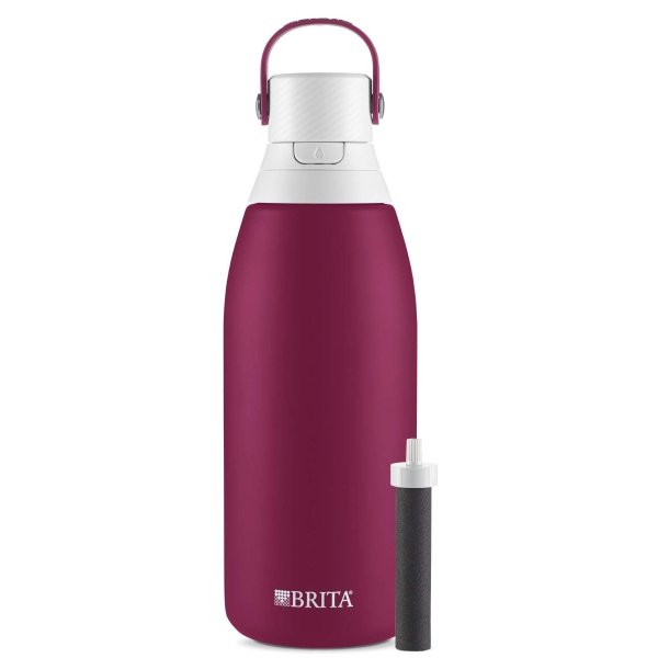 Insulated Stainless Steel Water Filter Bottle, 32 oz, Ruby