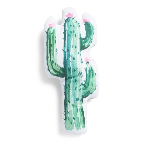 17x7 Indoor Outdoor Watercolor Cactus Pillow