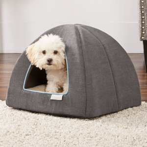 Chewy Cat & Dog Bed Flash Sale