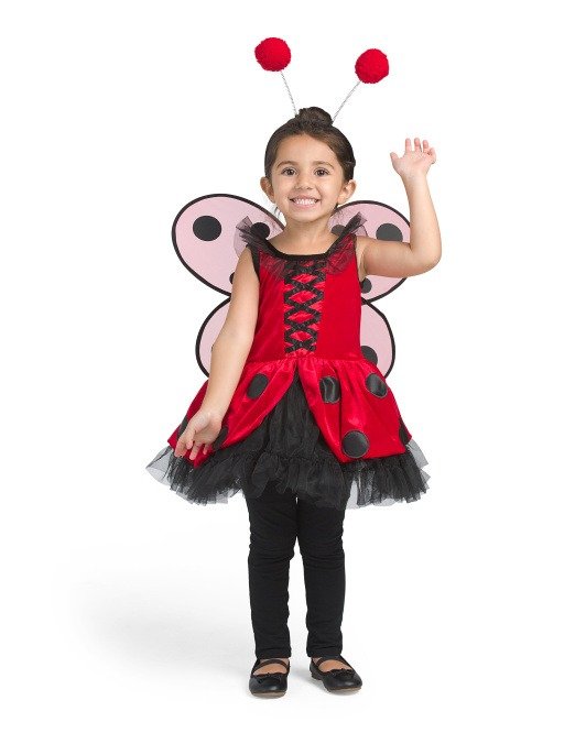 Toddler Ladybug Fairy Costume