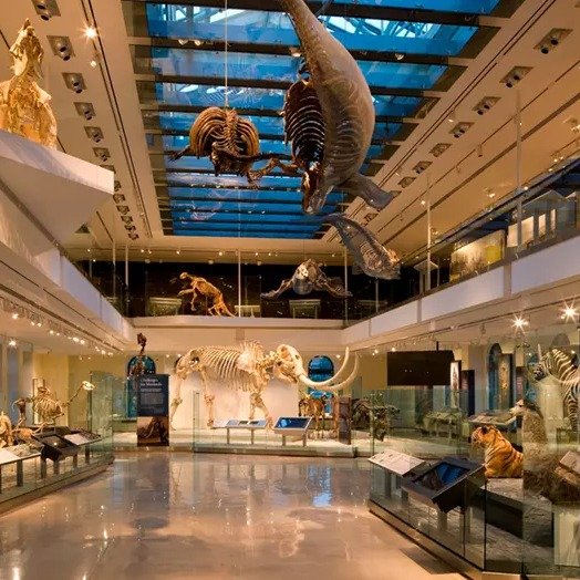 洛杉矶 自然历史博物馆